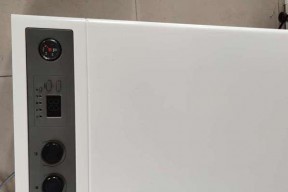 解决大宇壁挂炉E8故障的方法（探索大宇壁挂炉E8故障背后的原因和解决方案）
