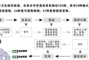 饮水机出现小虫是什么原因？如何有效预防和解决？