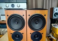 新扬音响品牌评价如何？新扬音响值得购买吗？