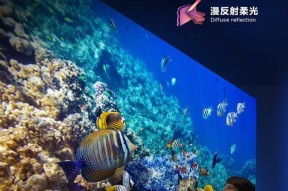 深蓝仪表投影仪使用方法是什么？如何进行基本操作？