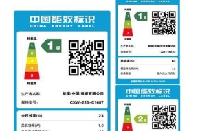 了解能率热水器代码故障11的原因及解决方法（探寻能率热水器故障代码11的隐患并迅速解决）