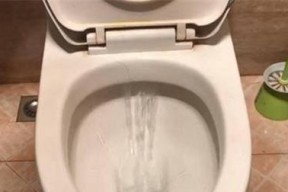 抽水马桶堵塞了怎么快速解决？