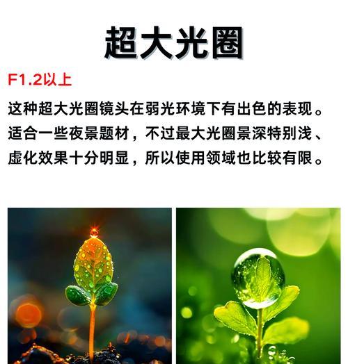 手机拍照如何设置光圈效果？操作方法是什么？  第2张
