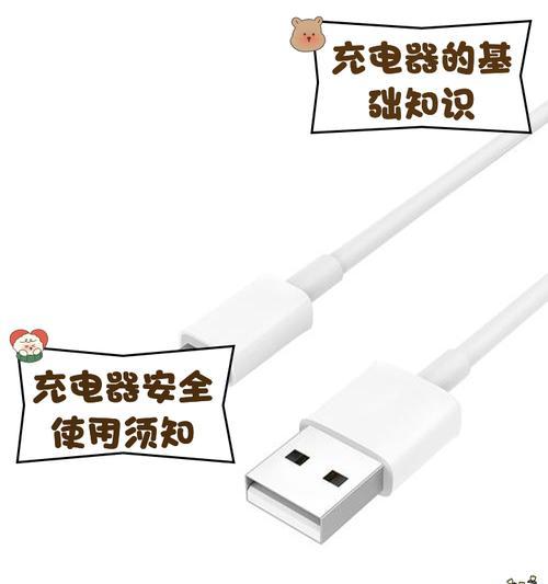 选择充电器时多少瓦数最为合适？  第3张