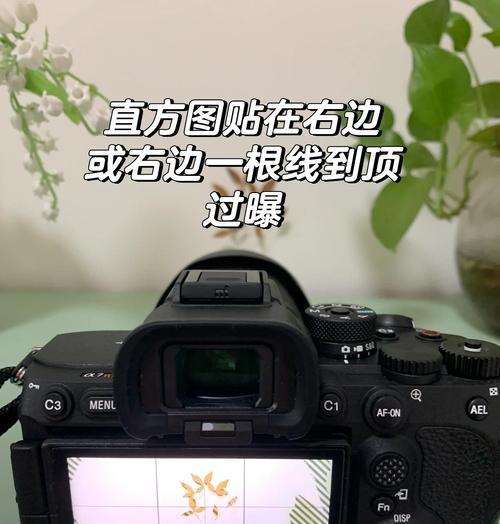 佳能相机视频号美颜如何调整？有哪些技巧？  第2张